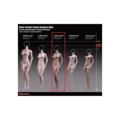 Phicen - TBLeague 1/6 Scale Female Super-Flexible Seamless Body - Corp moyen bronzé bonnets moyens