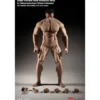 Phicen - TBLeague 1/6th Scale Super-Flexible Male Seamless Body - Corp bronzé Musculature Forte