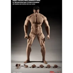 Phicen - TBLeague 1/6th Scale Super-Flexible Male Seamless Body - Corp bronzé Musculature Forte