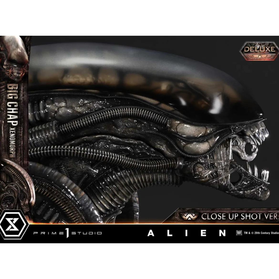Prime 1 Studio - Big Chap Xenomorph Close Up Shot Ver. DX Bonus Version - Alien (1979) Museum Masterline XL 1/3