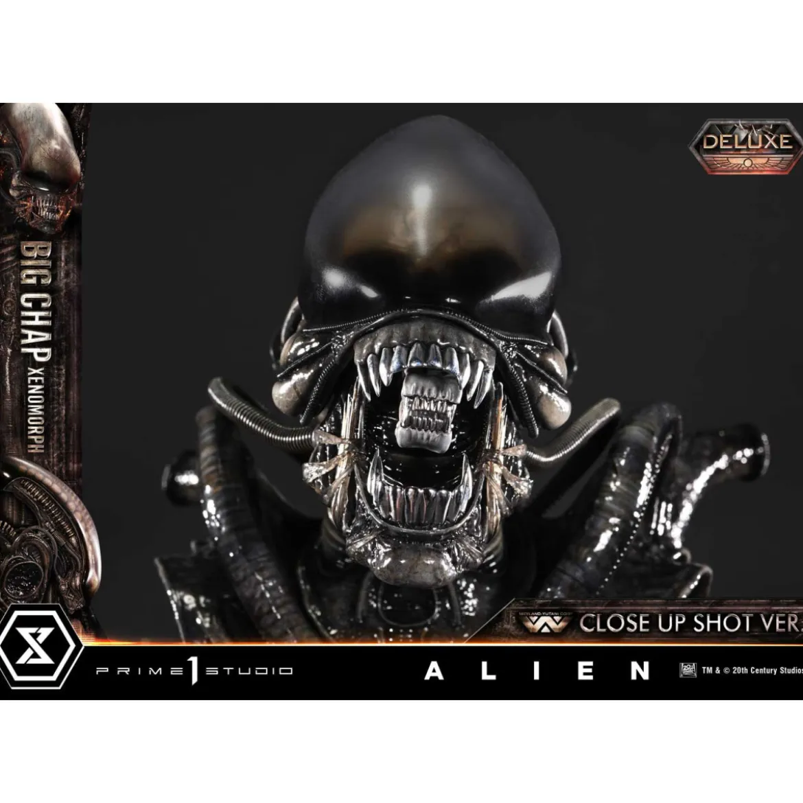 Prime 1 Studio - Big Chap Xenomorph Close Up Shot Ver. DX Bonus Version - Alien (1979) Museum Masterline XL 1/3