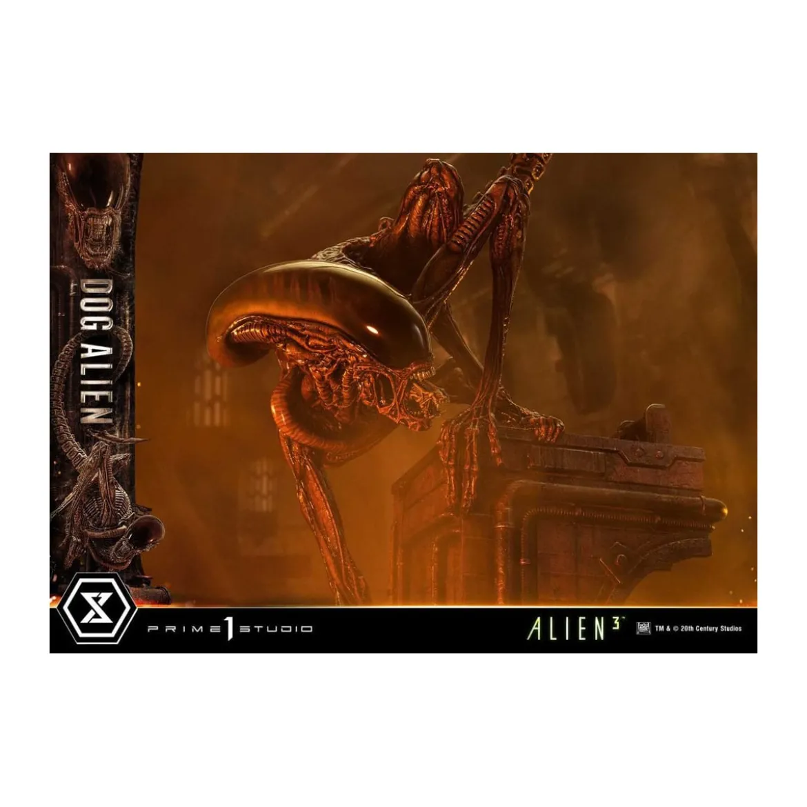 Prime 1 Studio - Dog Alien 1/3 - Alien 3 Museum Masterline XL