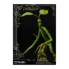 Prime 1 Studio Les Animaux fantastiques statuette Pickett 27 cm