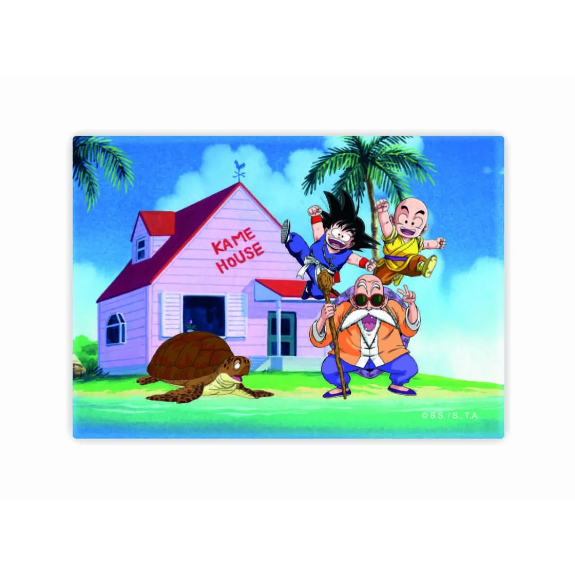 SD TOYS - Aimant Dragon Ball - Kame House
