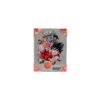 SD Toys - Dragonball poster en verre "Characters"