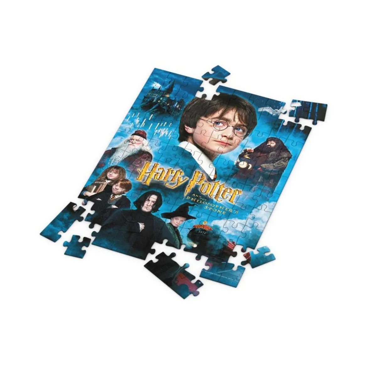 SD Toys - Puzzle HARRY POTTER effet 3D - Philosopher's Stone Poster - 100 pcs