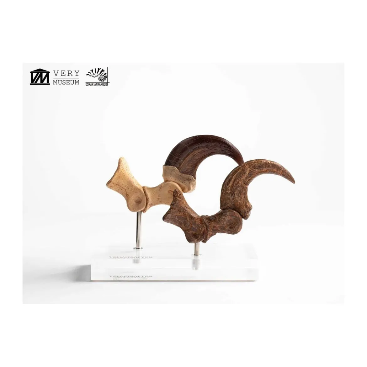 Toynami ECC Elite Creature Collectibles - Velociraptor Foot Claw and Fossil Claw Set - Jurassic Park