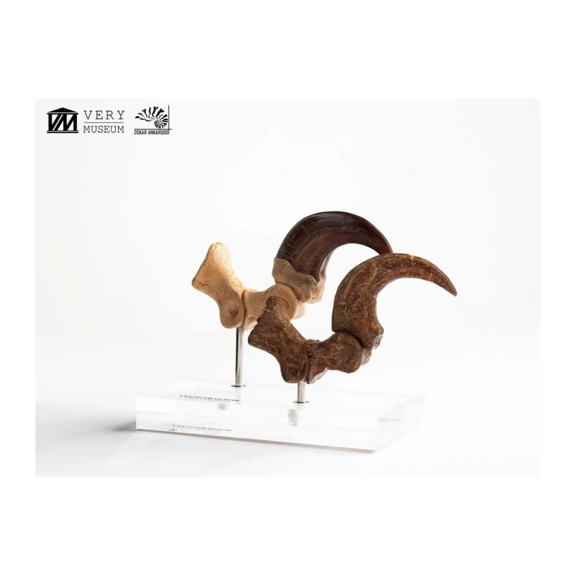 Toynami ECC Elite Creature Collectibles - Velociraptor Foot Claw and Fossil Claw Set - Jurassic Park