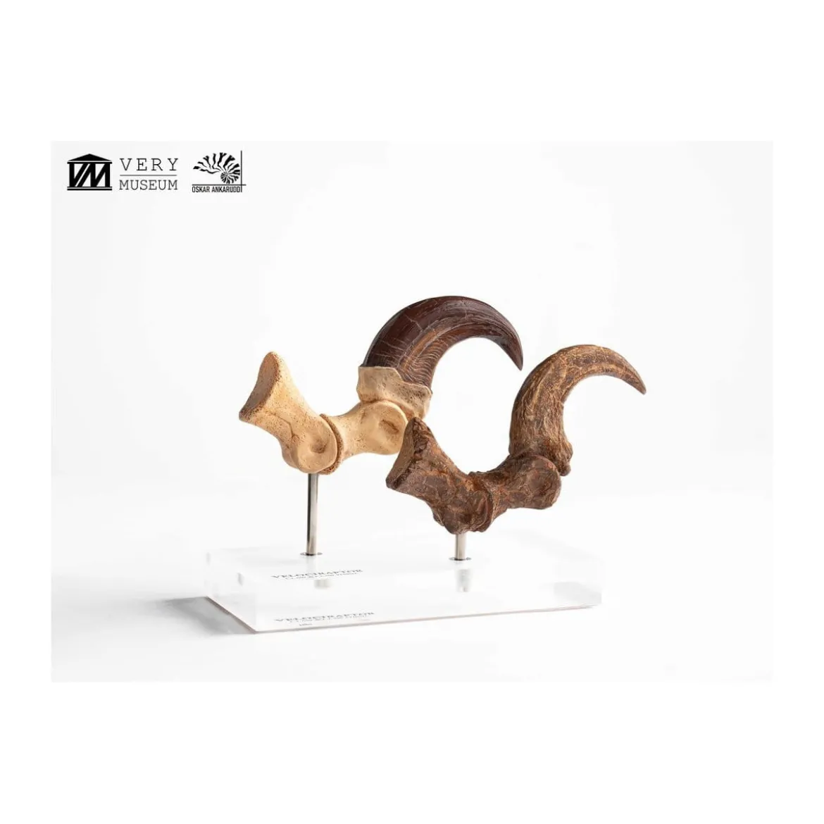 Toynami ECC Elite Creature Collectibles - Velociraptor Foot Claw and Fossil Claw Set - Jurassic Park