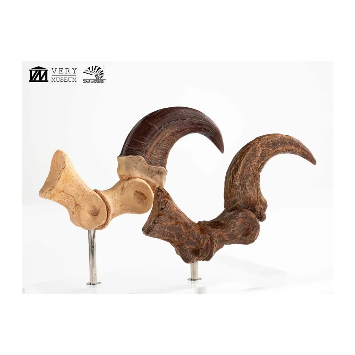 Toynami ECC Elite Creature Collectibles - Velociraptor Foot Claw and Fossil Claw Set - Jurassic Park