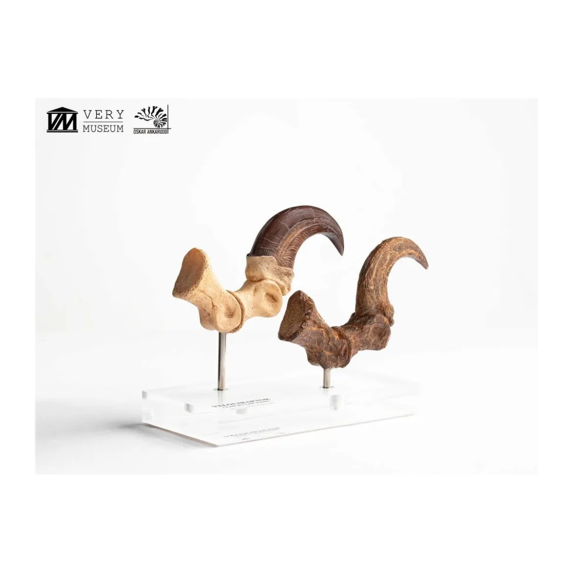 Toynami ECC Elite Creature Collectibles - Velociraptor Foot Claw and Fossil Claw Set - Jurassic Park