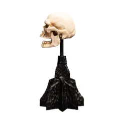Weta - Le Seigneur des Anneaux - Skull of a Mordor Orc - LOTR