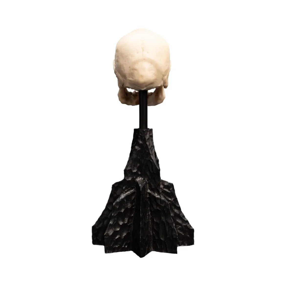 Weta - Le Seigneur des Anneaux - Skull of a Mordor Orc - LOTR
