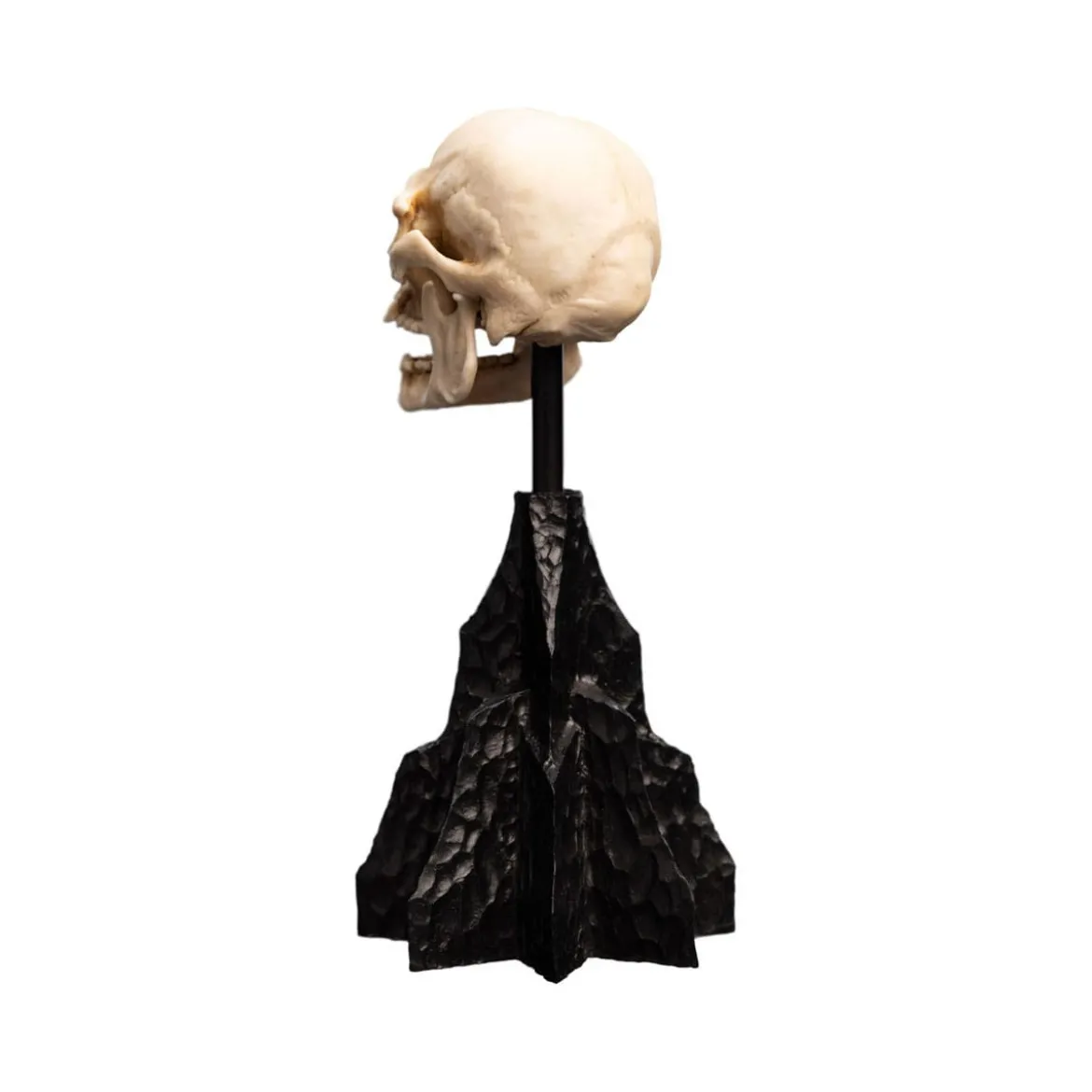 Weta - Le Seigneur des Anneaux - Skull of a Mordor Orc - LOTR