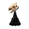 Weta - Le Seigneur des Anneaux - Skull of Warg - LOTR
