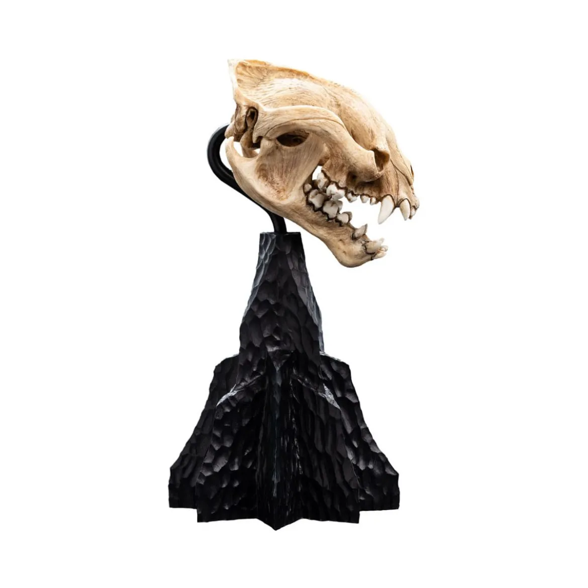 Weta - Le Seigneur des Anneaux - Skull of Warg - LOTR