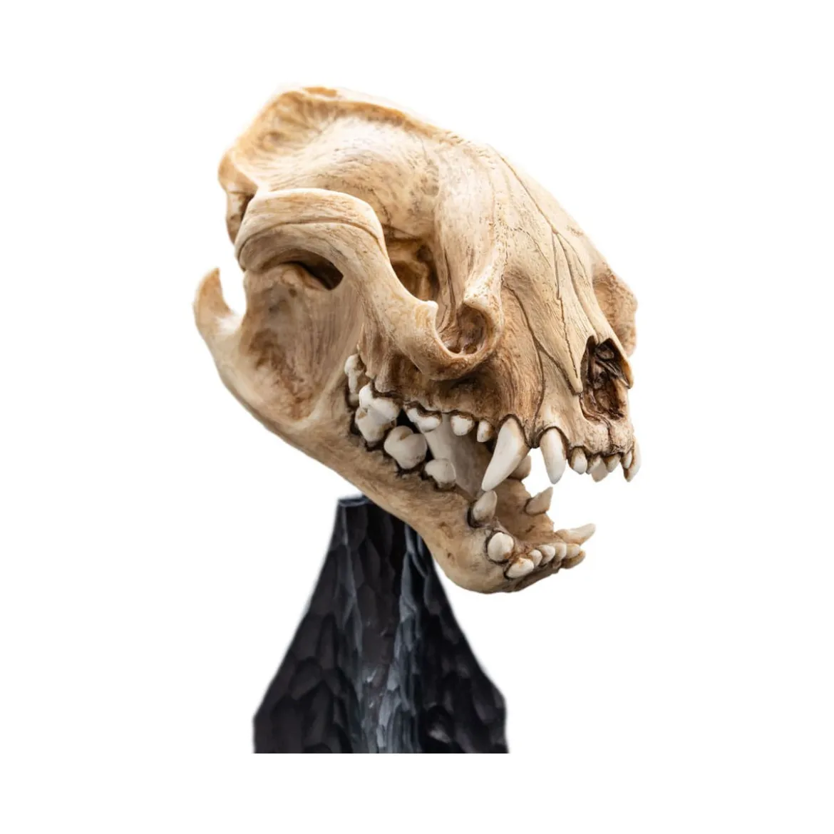 Weta - Le Seigneur des Anneaux - Skull of Warg - LOTR