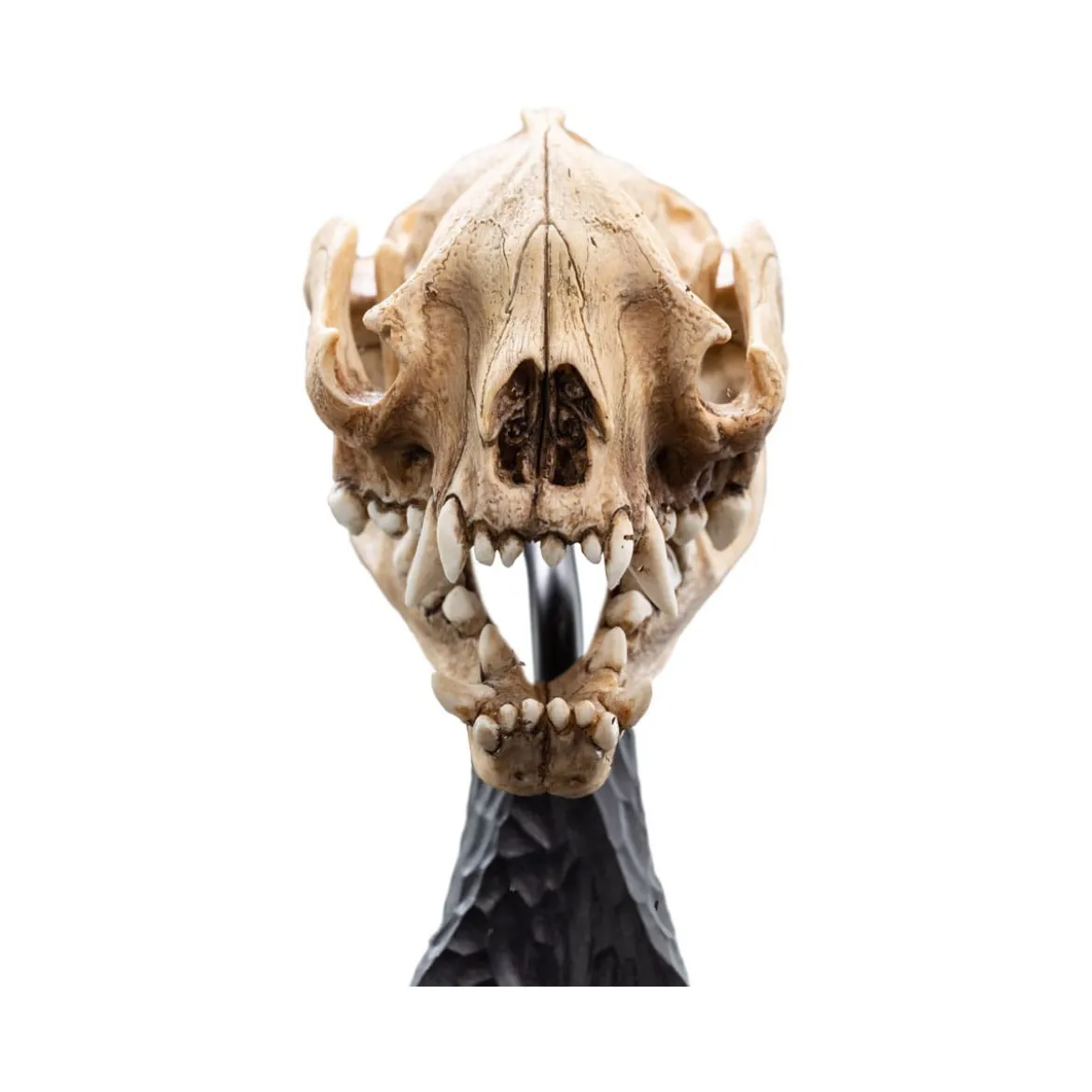 Weta - Le Seigneur des Anneaux - Skull of Warg - LOTR