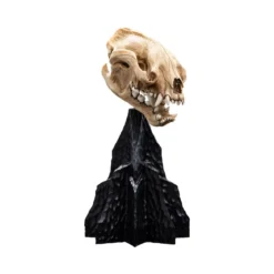 Weta - Le Seigneur des Anneaux - Skull of Warg - LOTR