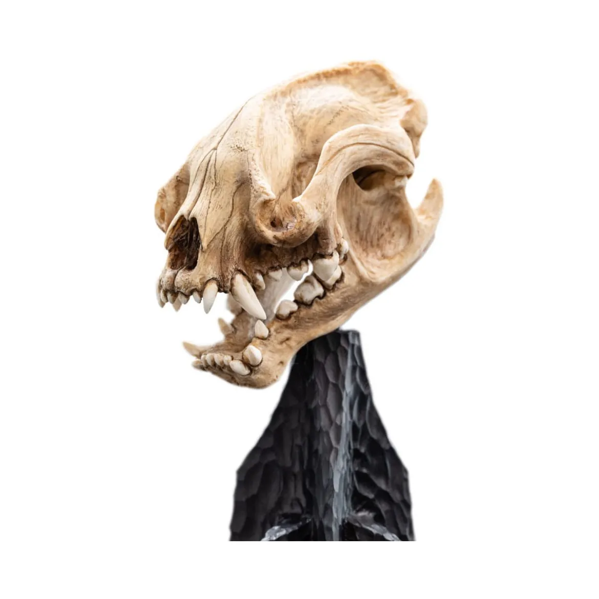 Weta - Le Seigneur des Anneaux - Skull of Warg - LOTR