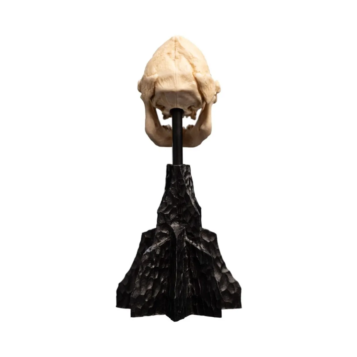 Weta - Le Seigneur des Anneaux - Skull of Lurtz - LOTR