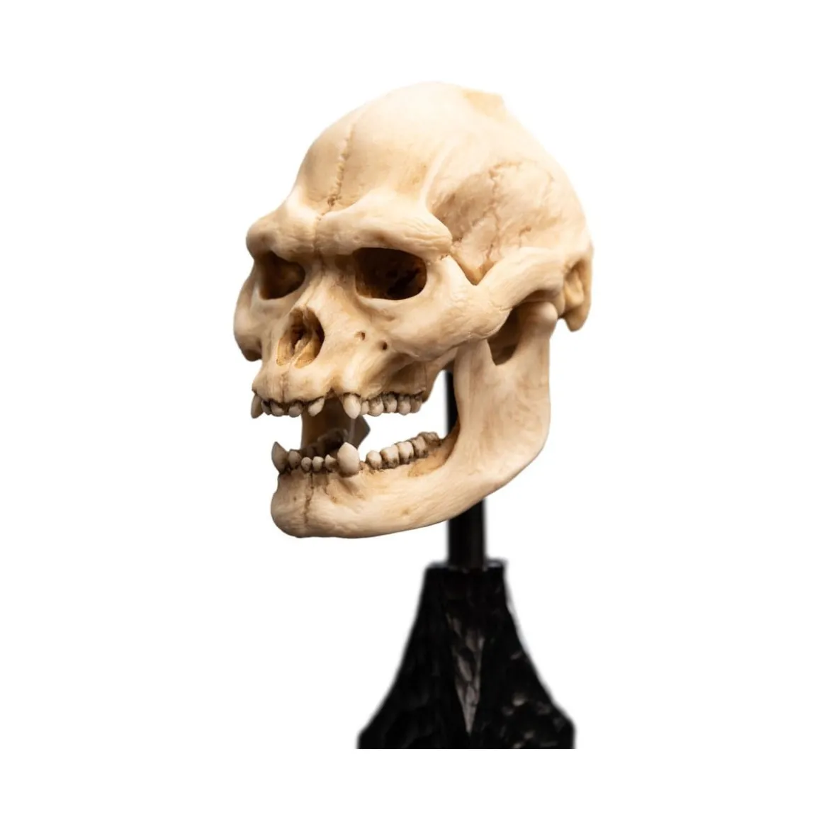 Weta - Le Seigneur des Anneaux - Skull of Lurtz - LOTR