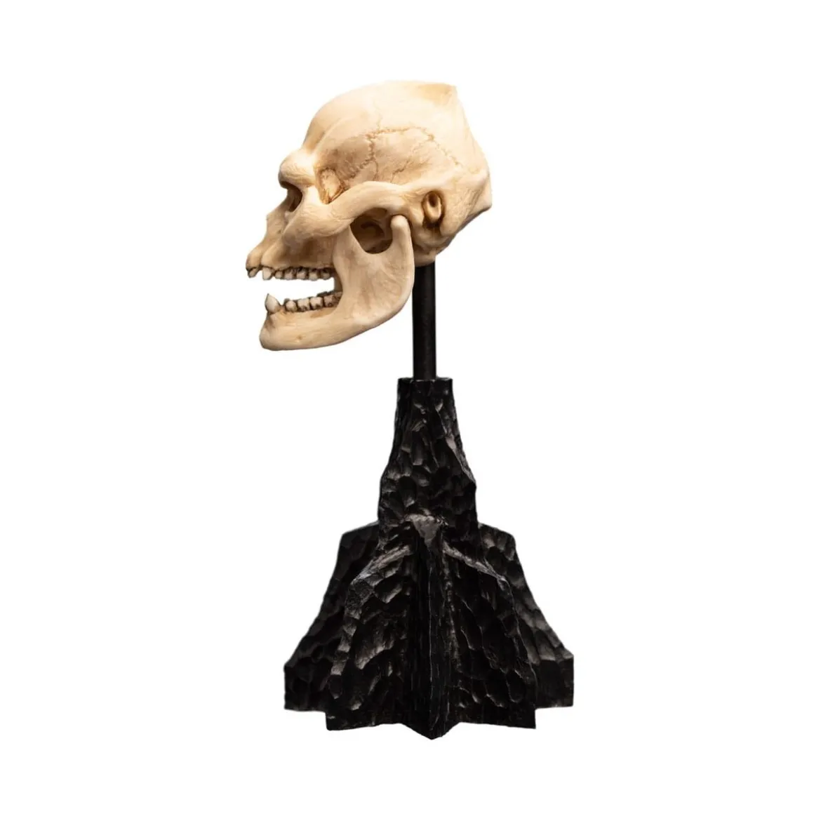 Weta - Le Seigneur des Anneaux - Skull of Lurtz - LOTR