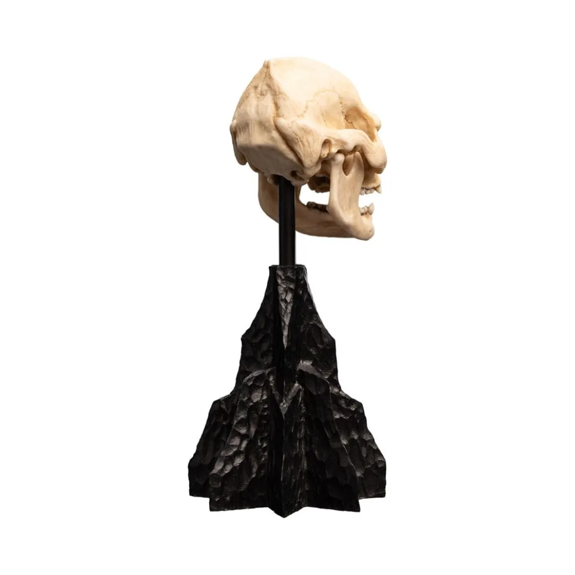 Weta - Le Seigneur des Anneaux - Skull of Lurtz - LOTR