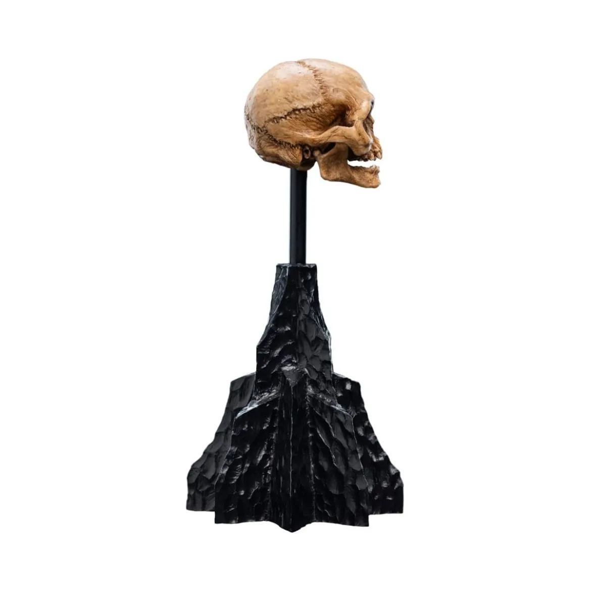 Weta - Le Seigneur des Anneaux - Skull of Gollum - LOTR