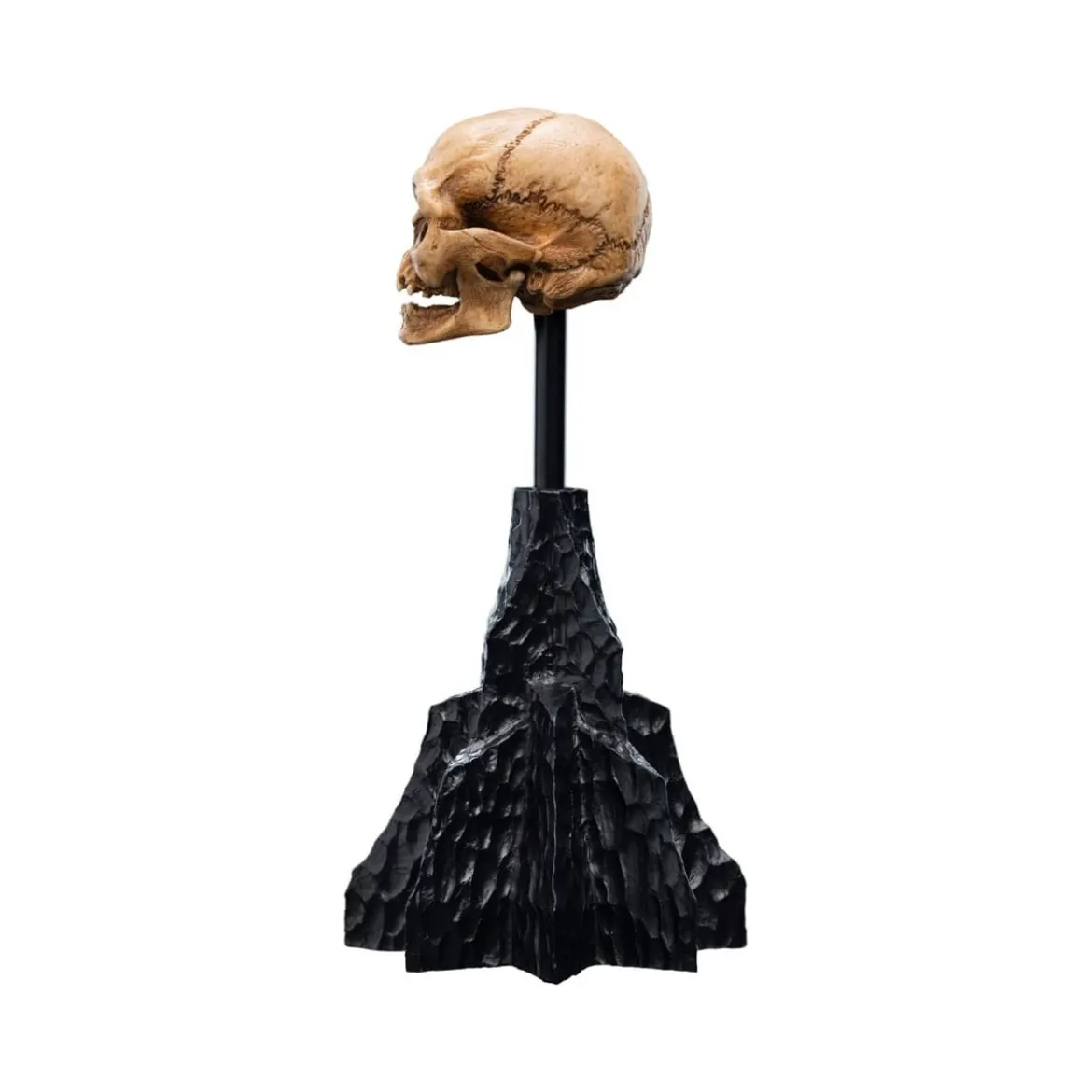 Weta - Le Seigneur des Anneaux - Skull of Gollum - LOTR