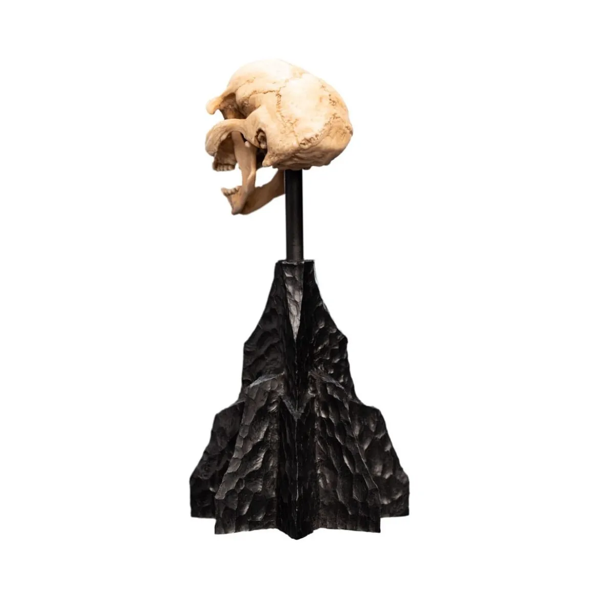 Weta - Le Seigneur des Anneaux - Skull of a Moria Orc - LOTR