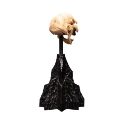 Weta - Le Seigneur des Anneaux - Skull of a Moria Orc - LOTR