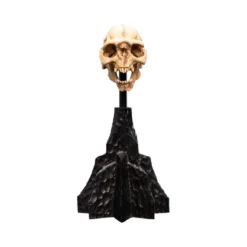 Weta - Le Seigneur des Anneaux - Skull of a Moria Orc - LOTR