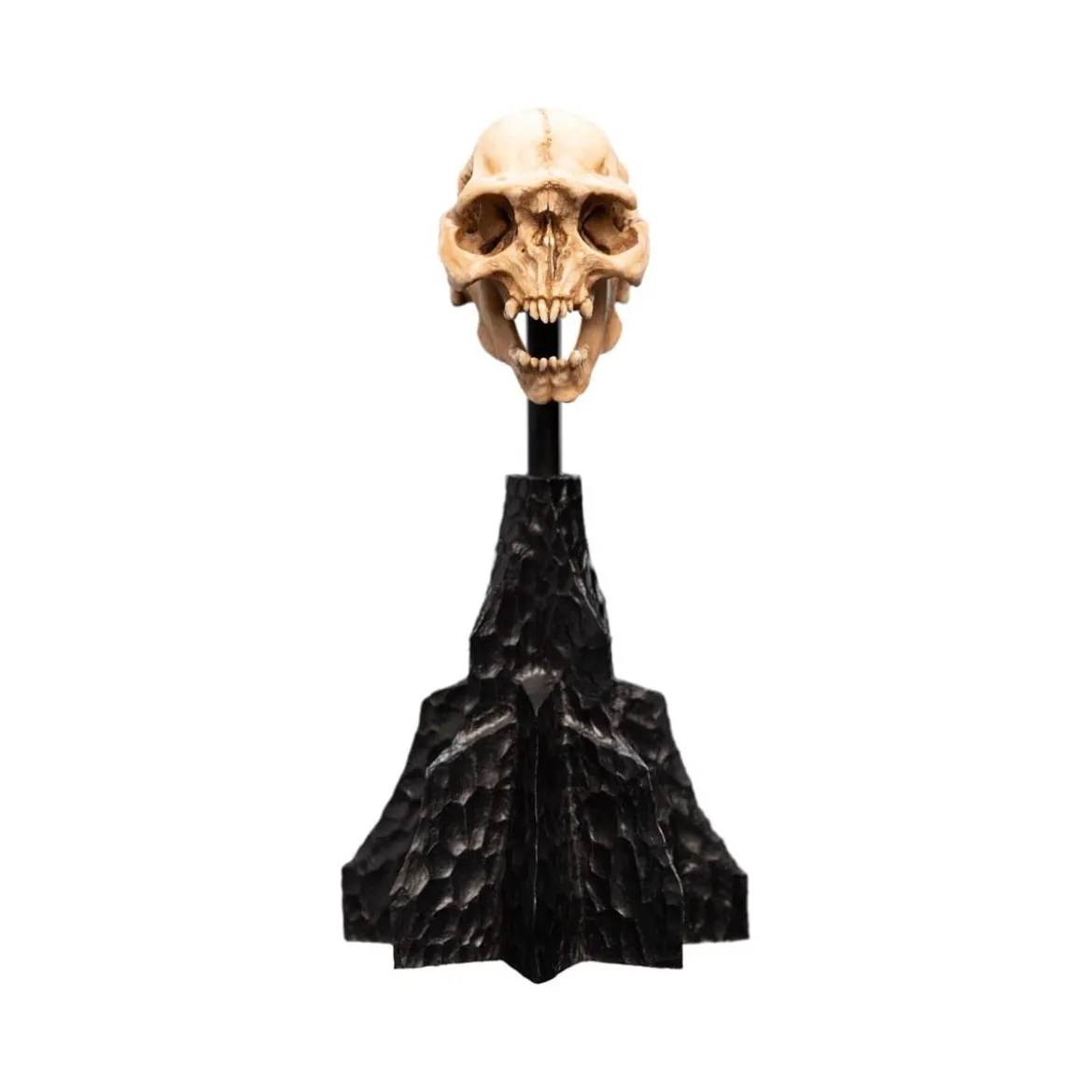 Weta - Le Seigneur des Anneaux - Skull of a Moria Orc - LOTR