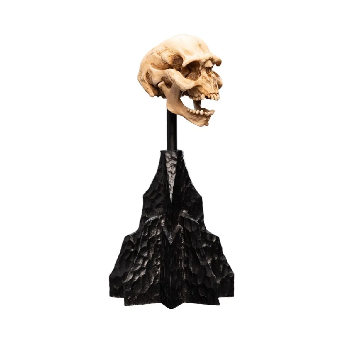 Weta - Le Seigneur des Anneaux - Skull of a Moria Orc - LOTR