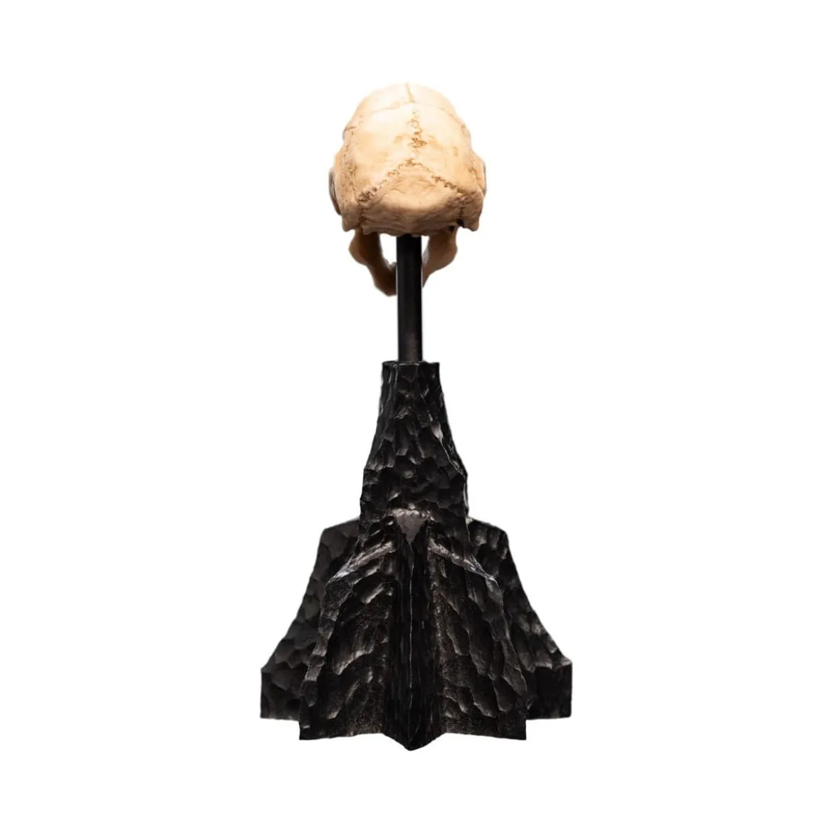 Weta - Le Seigneur des Anneaux - Skull of a Moria Orc - LOTR
