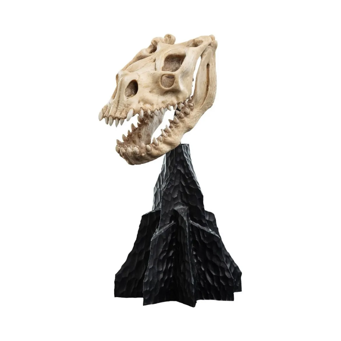 Weta - Le Seigneur des Anneaux - Skull of a Fell Beast - LOTR