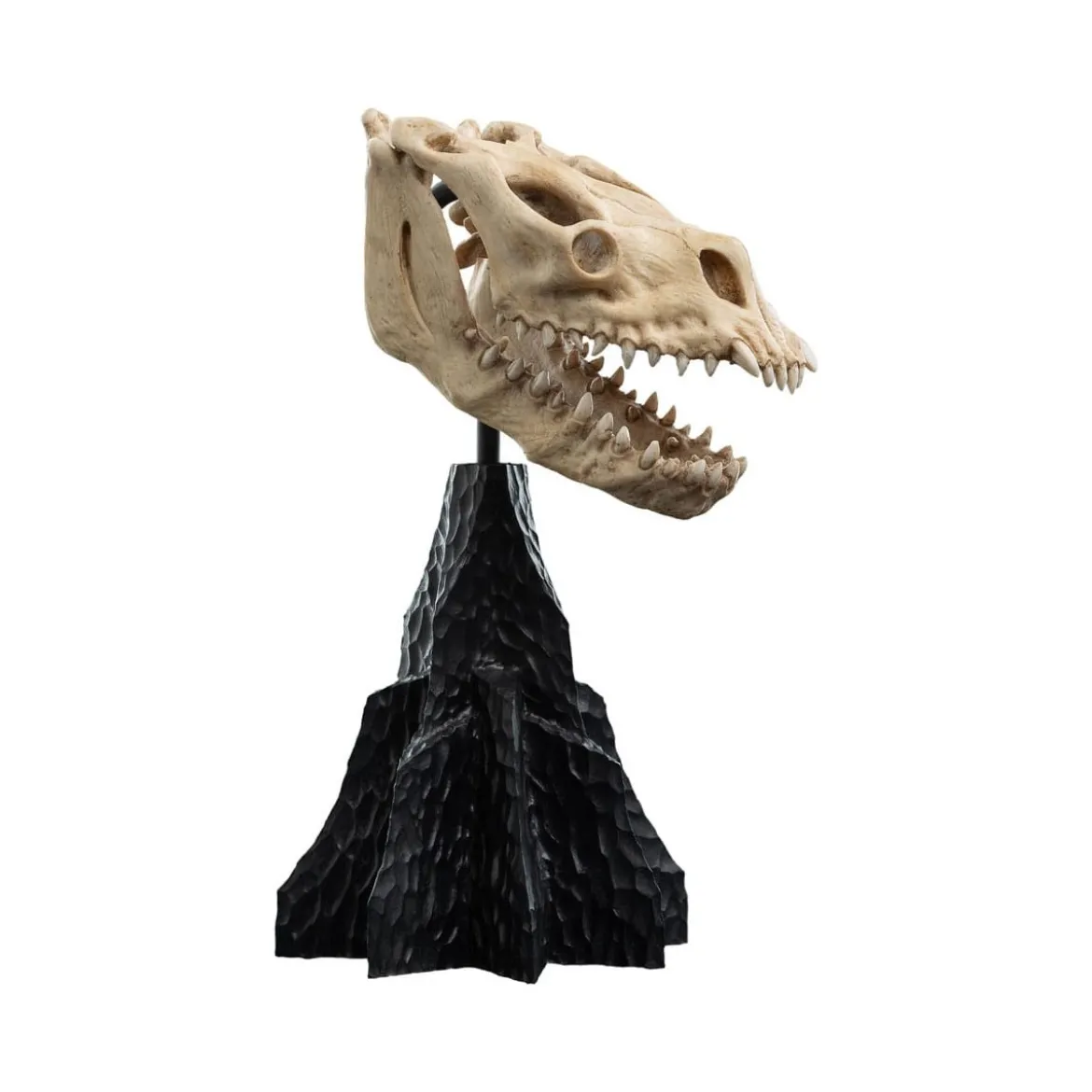 Weta - Le Seigneur des Anneaux - Skull of a Fell Beast - LOTR