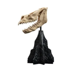 Weta - Le Seigneur des Anneaux - Skull of a Fell Beast - LOTR