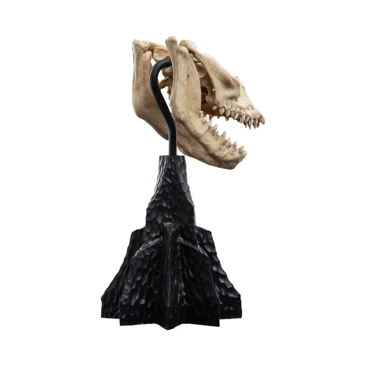 Weta - Le Seigneur des Anneaux - Skull of a Fell Beast - LOTR