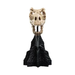 Weta - Le Seigneur des Anneaux - Skull of a Fell Beast - LOTR