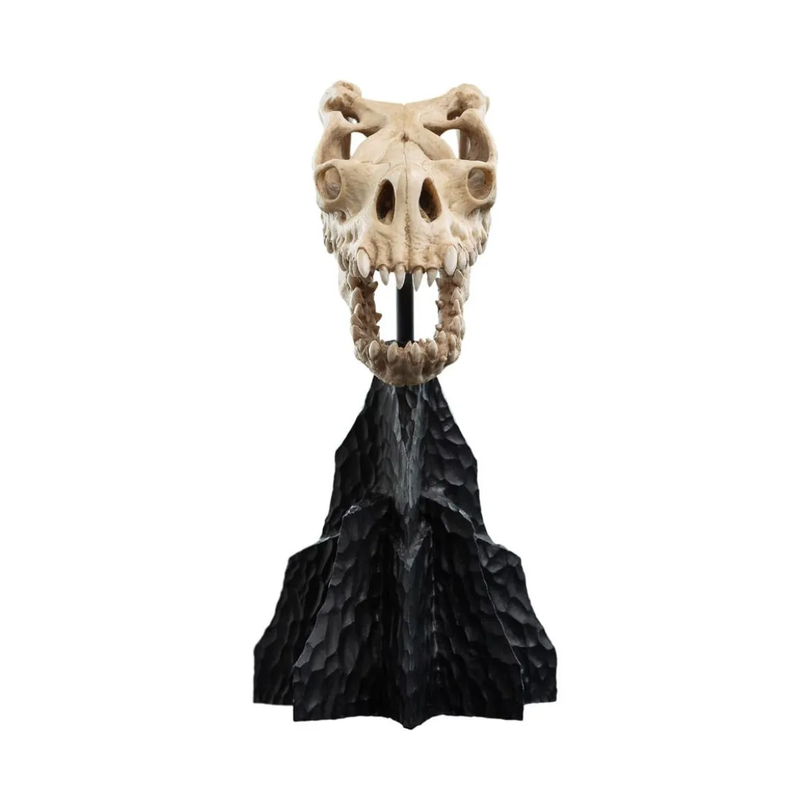 Weta - Le Seigneur des Anneaux - Skull of a Fell Beast - LOTR
