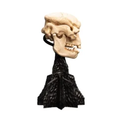 Weta - Le Seigneur des Anneaux - Skull of a Cave Troll - LOTR